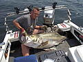 Click image for larger version

Name:	fishing 2 121.jpg
Views:	197
Size:	37,1 KB
ID:	1791099