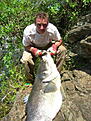 Click image for larger version

Name:	DSCN0031.JPG
Views:	201
Size:	110,5 KB
ID:	1791100