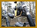 Click image for larger version

Name:	bj�rven_Guldmedskugga.jpg
Views:	339
Size:	264,5 KB
ID:	1791201
