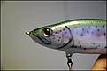 Click image for larger version

Name:	Rainbow trout.jpg
Views:	222
Size:	243,2 KB
ID:	1791622