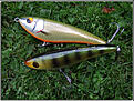 Click image for larger version

Name:	Savage Gear Freestyler.JPG
Views:	128
Size:	213,9 KB
ID:	1791790