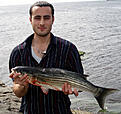 Click image for larger version

Name:	Recep med multe p� 3kg copy.jpg
Views:	209
Size:	198,6 KB
ID:	1791872