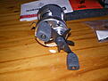 Click image for larger version

Name:	IMGP0649.JPG
Views:	119
Size:	135,2 KB
ID:	1795628