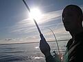 Click image for larger version

Name:	DSCN2961.jpg
Views:	273
Size:	9,6 KB
ID:	1795812
