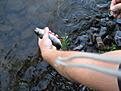 Click image for larger version

Name:	IMG_2064.jpg
Views:	69
Size:	360,6 KB
ID:	1797029