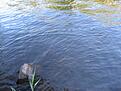 Click image for larger version

Name:	IMG_2065.jpg
Views:	81
Size:	416,0 KB
ID:	1797030
