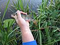 Click image for larger version

Name:	IMG_2070.jpg
Views:	70
Size:	370,7 KB
ID:	1797032