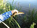 Click image for larger version

Name:	IMG_2073.jpg
Views:	74
Size:	701,4 KB
ID:	1797033