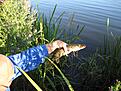 Click image for larger version

Name:	IMG_2075.jpg
Views:	80
Size:	480,5 KB
ID:	1797034