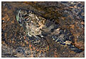 Click image for larger version

Name:	Haverdal 21 maj 2009.jpg
Views:	185
Size:	285,8 KB
ID:	1798924