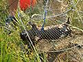 Click image for larger version

Name:	DSC00420.jpg
Views:	1599
Size:	978,2 KB
ID:	1799146