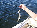Click image for larger version

Name:	Bete eller Byte.JPG
Views:	167
Size:	102,9 KB
ID:	1799218