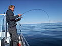 Click image for larger version

Name:	norge 09 05 114.JPG
Views:	113
Size:	498,3 KB
ID:	1800414