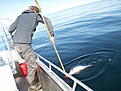 Click image for larger version

Name:	norge 09 05 117.JPG
Views:	115
Size:	489,4 KB
ID:	1800415