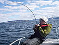 Click image for larger version

Name:	norge 09 05 125.JPG
Views:	131
Size:	645,5 KB
ID:	1800417