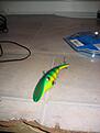 Click image for larger version

Name:	IMG_0335.jpg
Views:	132
Size:	324,2 KB
ID:	1801116