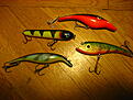 Click image for larger version

Name:	Wobbler.JPG
Views:	85
Size:	312,5 KB
ID:	1801164
