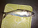 Click image for larger version

Name:	20100530328.jpg
Views:	151
Size:	744,9 KB
ID:	1803043