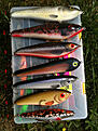 Click image for larger version

Name:	IMG_0044.jpg
Views:	232
Size:	781,8 KB
ID:	1805206