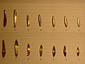 Click image for larger version

Name:	2.jpg
Views:	79
Size:	136,7 KB
ID:	1805263