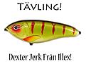 dexter-jerklol.jpg