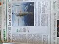 bild (25).jpg