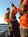 Click image for larger version

Name:	6.9kg3.jpg
Views:	237
Size:	82,9 KB
ID:	2479184