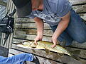 Click image for larger version

Name:	DSC00227.jpg
Views:	29
Size:	350,2 KB
ID:	2479191