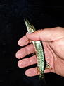 Click image for larger version

Name:	20200729_213743.jpg
Views:	316
Size:	2,91 MB
ID:	2555646