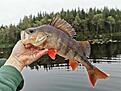 IMG_20200920_181319.jpg