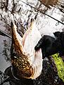 IMG_20240223_114543.jpg
