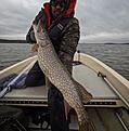 SmartSelect_20240413_221353_Instagram.jpg
