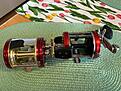 IMG_2446.jpg