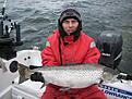 Fin V�nern-�ring
S�der om Djur�, november -07