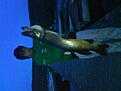 8.2 Kg, Mitt personb�sta.

N�n som k�nner att han vill l�ra mej hur man f�ngar fler? =)