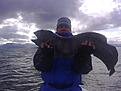 20080526243
Havskatt 6,7kg