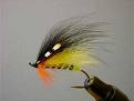fluga