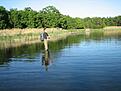 Mad-Mike in action en sommarkv�ll n�r det var helt bleke. Tyv�rr hade fisket mer att �nska