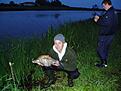 Braxen 2.5kg
