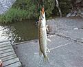 En liten g�dda :)