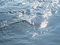 en krusning p� ytan...