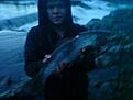fisk
