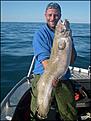 Lubb 11.25 kg, tagen p� 260 meters djup utanf�r S�r�ya vid riktat fiske efter stor Uer.