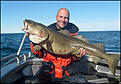 !7 kilos stark Torsk fr�n Storskaltaren.