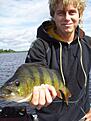 Aborre 0,94kg G�vle, Sikvik