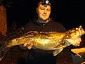 G�s 4080gr 
Landad av Team G�sambulansen med "Hulan" och "G�sing"