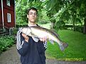 En g�s p� 4 kg som jag tog p� drag rodd i Osbysj�n.