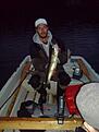 Nattg�s 1.8kg