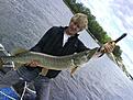 St. V�rtan (7,5 kg)