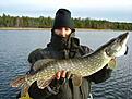 Valdemarsvik (4,3 kg)